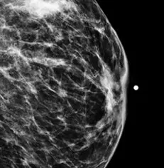 n&v-spot-film02 (3).webp